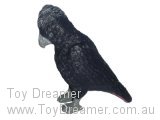 Australian Birds: Black Cockatoo