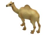Zoo Animals: Camel