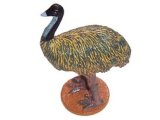 Australian Birds: Emu