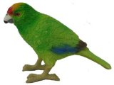 New Zealand Birds: Kakariki
