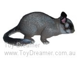 Australian Animals: Leadbeter's Possum