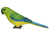 Australian Birds: Orange Bellied Parrot