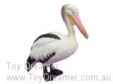 Australian Birds: Pelican