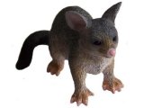 Australian Animals: Possum