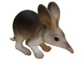 Australian Animals: Bilby