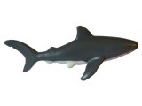 Australian Sea Life: Shark