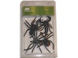Australian Spiders & Scorpion: 4 Pack