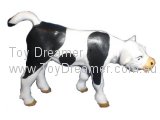 Black and White Calf, standing (tiny rub)