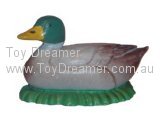 Mallard Duck, lying