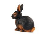 Rabbit, Black & Brown