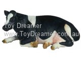 Holstein Cow, laying