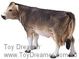 Brown Swiss Cow