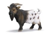 Mini Billy Goat