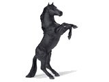 Mustang Stallion, Black