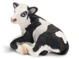 Holstein Calf, lying
