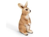 Rabbit, standing