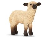 Shropshire Lamb