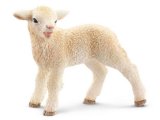 Sheep: Lamb, standing