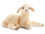 Sheep: Lamb, lying