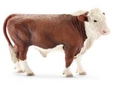 Hereford Bull