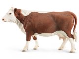 Hereford Cow