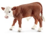 Hereford Calf