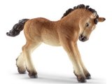 Ardennes Foal