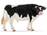 Holstein Bull