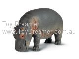 Hippopotamus Cub