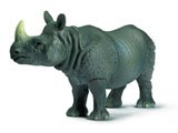 Rhinoceros