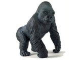 Gorilla Male