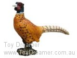 Pheasant