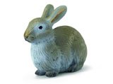 Rabbit: Wild Rabbit