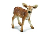 White Tailed Deer Fawn