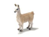 Llama (with tag!)
