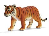 Tiger, female
