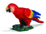 Parrot, Red