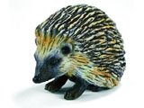 Hedgehog