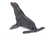 Sea Lion