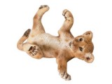 Lion Cub, lying