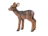 Fawn