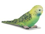 Budgie (Green)