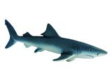 Blue Shark