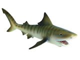 Tiger Shark (New with Tag!)
