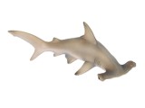 Hammerhead