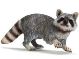 Raccoon