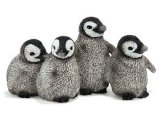 King Penguin Chicks