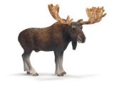 Moose Bull