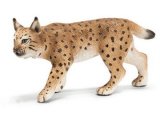 Lynx Female