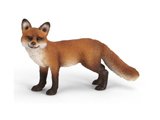 Red Fox